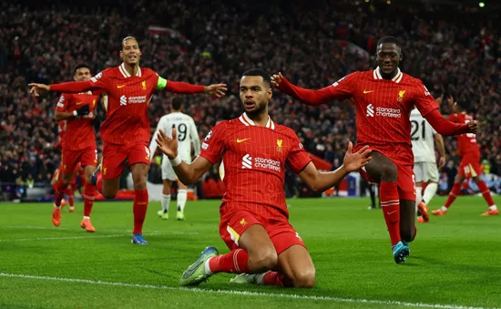 Cody Gakpo sẽ vắng mặt trong trận Liverpool gặp PSG