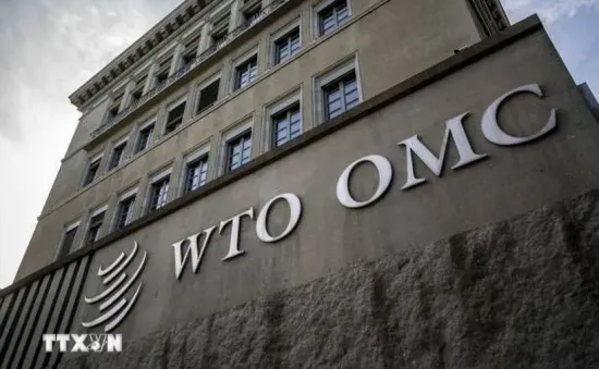 WTO lo ngại thương mại toàn cầu giảm 1%