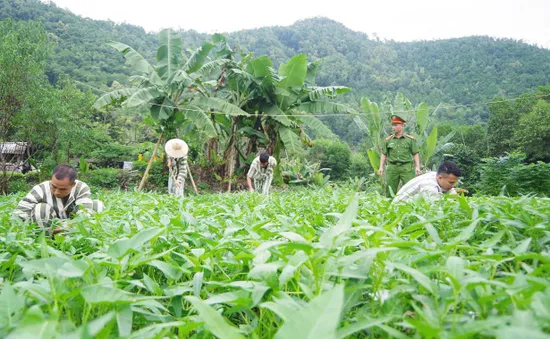 Đặc xá 2025: Cánh cửa mở ra tương lai cho người lầm lỡ