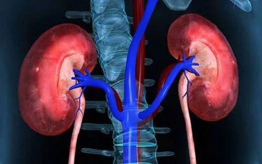 Cảnh báo hội chứng thận hư tái phát vì tự ý bỏ thuốc