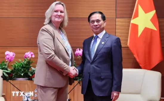 Phó Thủ tướng Bùi Thanh Sơn tiếp Quốc vụ khanh Bộ Ngoại giao Đan Mạch