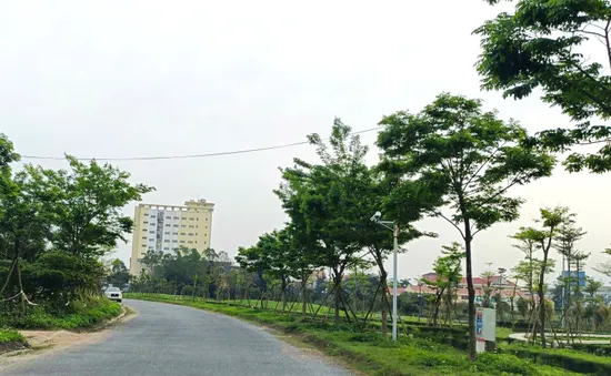 Quảng Bình: Khai trừ nhiều đảng viên liên quan đại án cây xanh Công Minh