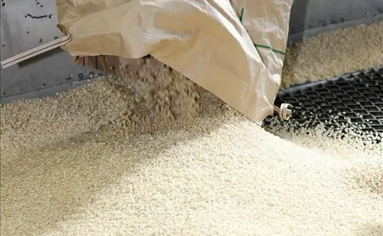 Nhật Bản cân nhắc nhượng bộ về đậu nành và gạo khi đàm phán thuế với Mỹ