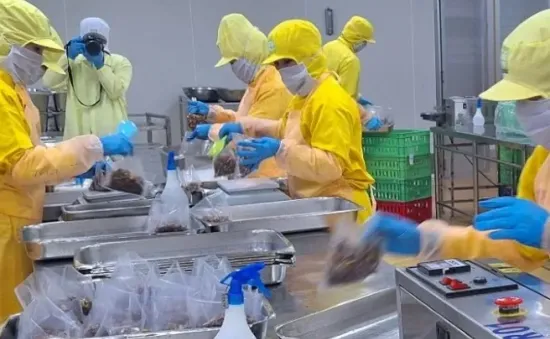 Tạo liên kết chuỗi hỗ trợ khu vực kinh tế tư nhân