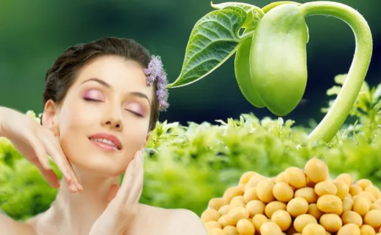 Hiểu đúng về mầm đậu nành : “thủ phạm” hay “cứu tinh” nội tiết tố nữ