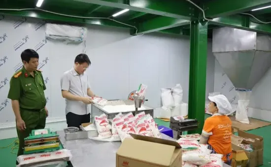 Đột kích Công ty Famimoto, Công an Phú Thọ thu giữ hàng trăm tấn hạt nêm, dầu ăn, mì chính giả