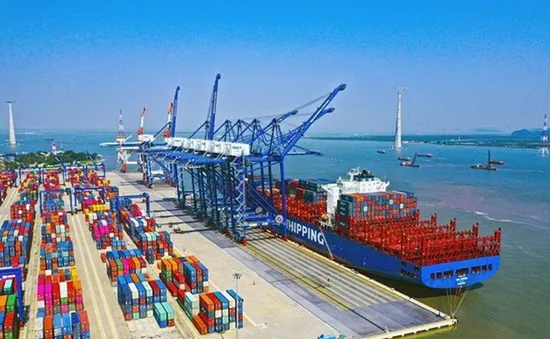 Đề xuất quy định mới về tổ chức, hoạt động của Cảng vụ hàng hải, Cảng vụ đường thủy nội địa