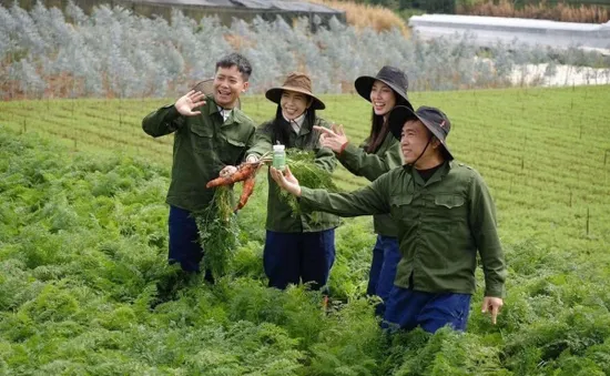 Cần xử lý nghiêm người nổi tiếng quảng cáo sai sự thật