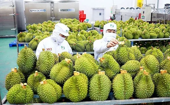 Tín hiệu tích cực từ thị trường xuất khẩu nông lâm thủy sản