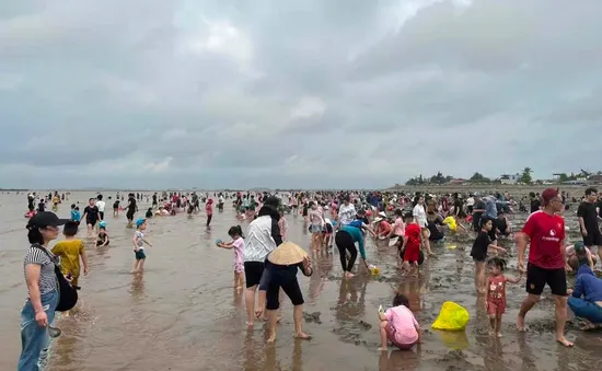 Trào lưu "săn ngao" thu hút hàng nghìn người dịp nghỉ lễ