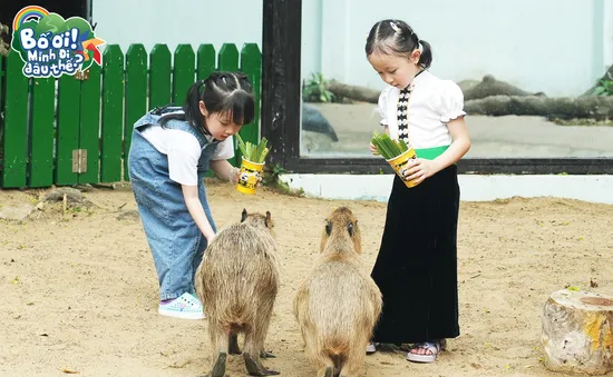 Con gái Quách Ngọc Tuyên và em bé Điện Biên "đốn tim" khán giả khi tham gia Hành trình tập sự