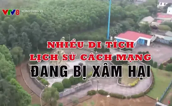 Nhiều di tích lịch sử đang bị xâm hại