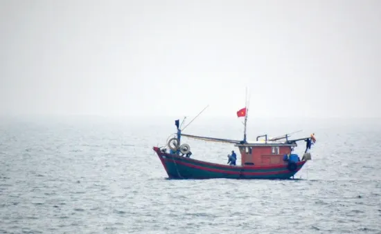 Nhiều tàu cá và ngư dân gặp nạn khi đang hành nghề trên biển
