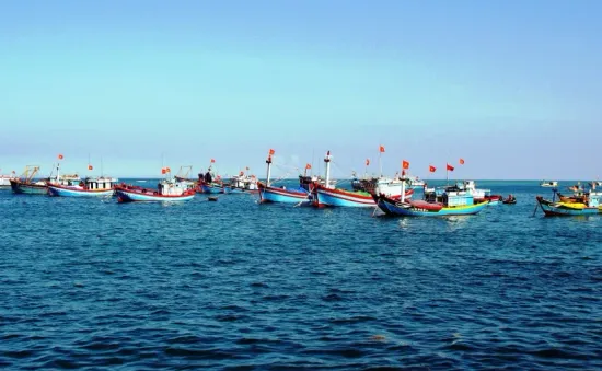 Bộ Nông nghiệp và Môi trường: Trung Quốc đơn phương cấm đánh bắt cá trên Biển Đông là không có giá trị