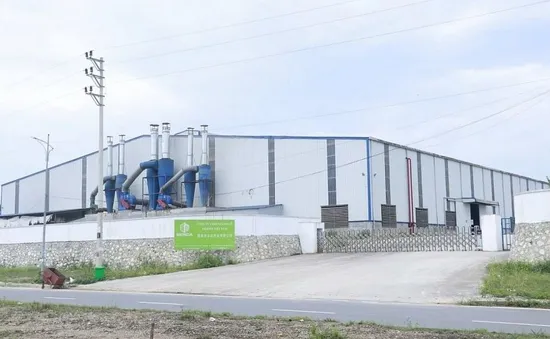 Một công ty ở Yên Bái bị phạt 320 triệu đồng do chưa có giấy phép môi trường