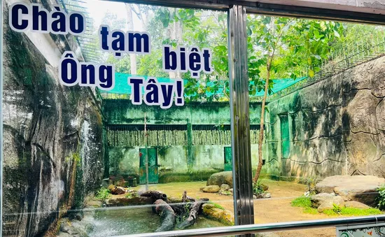 Xúc động lễ chia tay “ông” hổ Tây ở Thảo Cầm Viên Sài Gòn