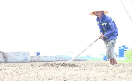 Nghề làm muối Thụy Hải trở thành Di sản văn hóa phi vật thể quốc gia