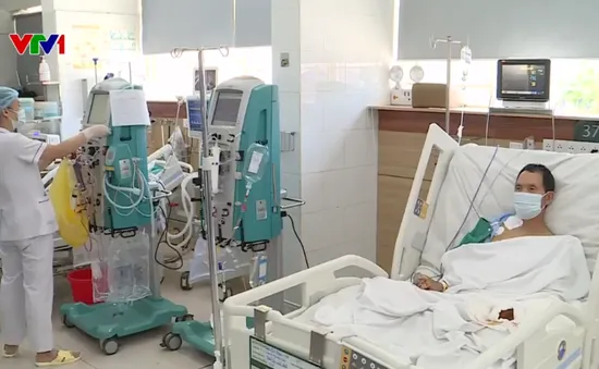 Nhiều người nguy kịch vì sơ cứu sai khi bị rắn cắn