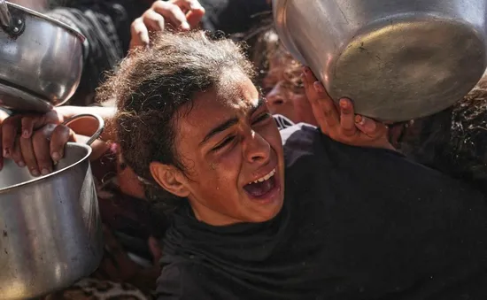 Gaza đối mặt nạn đói nghiêm trọng giữa vòng xoáy phong tỏa và xung đột