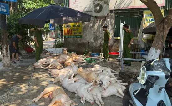 Phát hiện hơn 1 tấn thịt lợn xuất huyết ngoài da, ruồi bâu đầy chuẩn bị lên lò nướng