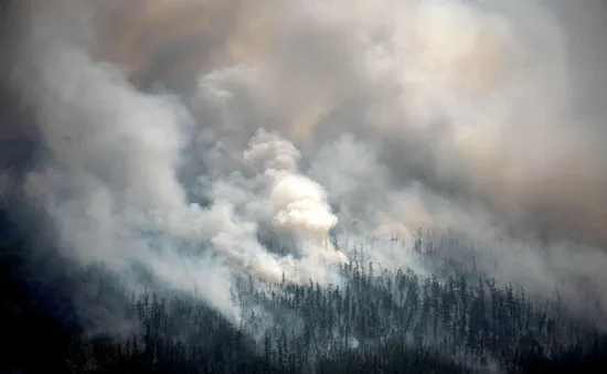 Nga: Cháy rừng nghiêm trọng ở Siberia, trên 600.000 ha bị thiêu rụi