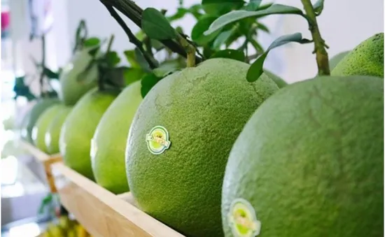 Cơ hội rộng mở cho trái bưởi Việt Nam