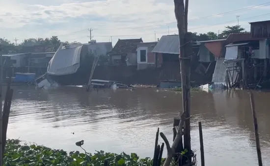 Sạt lở bờ sông ở An Giang, 10 căn nhà bị trôi xuống nước