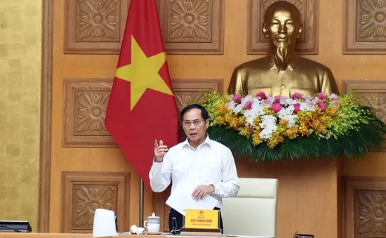 Phó Thủ tướng Bùi Thanh Sơn: Phải kiểm tra ngay khi người dân phản ánh có sản xuất, tiêu thụ hàng giả