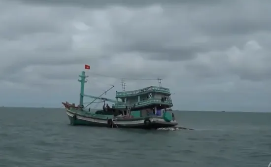 Ngư dân được miễn phí thuê bao, nhà mạng vẫn đòi thu tiền trước