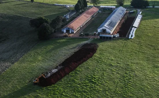 Brazil lập rào chắn ngăn cúm gia cầm