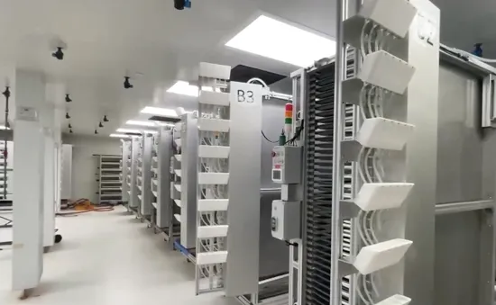 Ứng dụng trí tuệ nhân tạo nuôi muỗi chống sốt xuất huyết tại Singapore