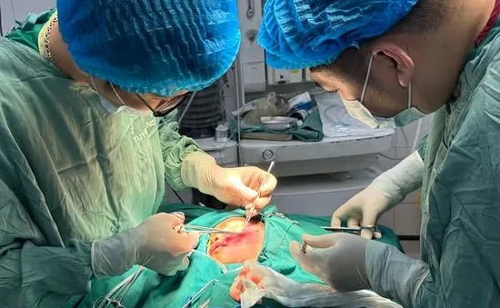 Bé trai ở Tuyên Quang bị chó cắn rách mặt, nhập viện khẩn cấp