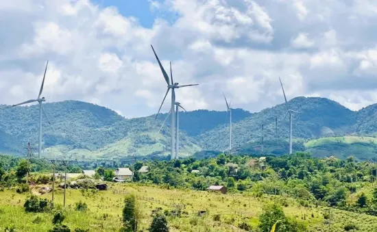 Kỷ luật cảnh cáo nguyên Phó Giám đốc Sở Kế hoạch và Đầu tư tỉnh Đắk Nông