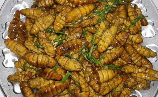 Sốc phản vệ nặng sau khi ăn nhộng tằm