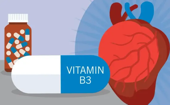 Những vitamin “âm thầm” giúp giảm mỡ máu