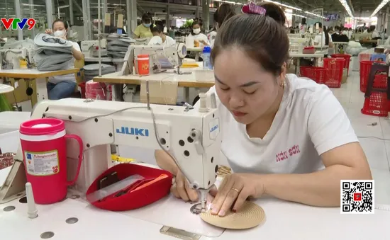 Điều tra doanh nghiệp năm 2025 trên toàn quốc