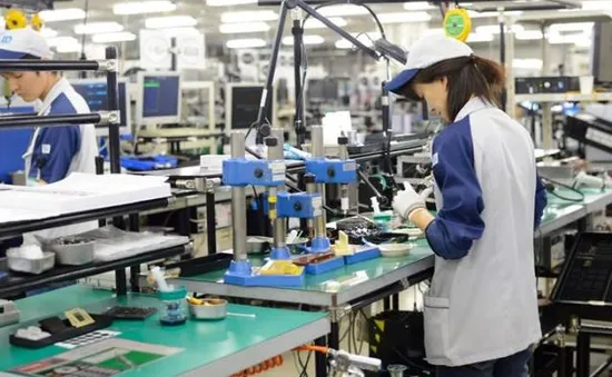 Nhà cung cấp cho Toyota, Nissan, Ford "hứng" đòn thuế quan