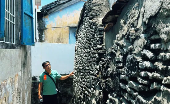 Độc đáo nhà san hô