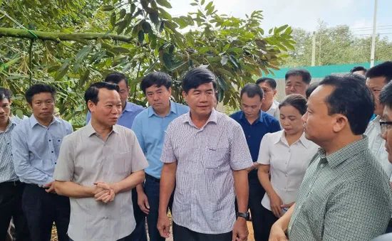 Bộ trưởng Bộ Nông nghiệp và Môi trường: Gian lận mã số vùng trồng là tội phạm