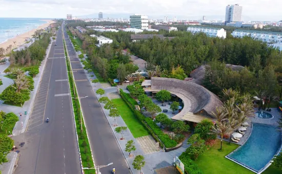 Rừng dương nơi phố biển