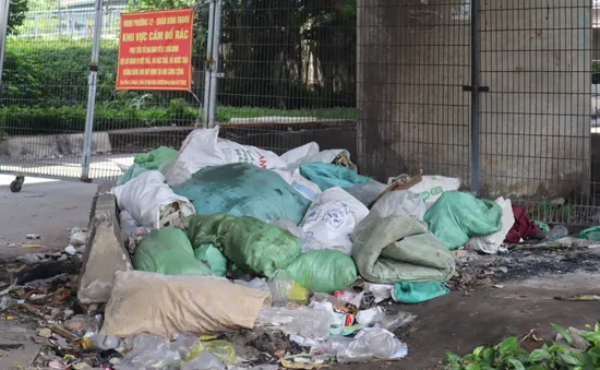 “Nhờn luật” xả rác bừa bãi: Đề xuất tăng phạt, xử lý tận gốc tái phạm