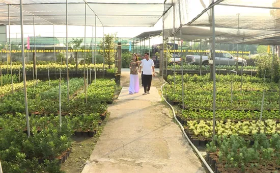 Trồng lúa thông minh, tưới cây bằng cảm biến ở Tiền Giang