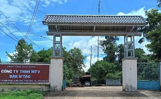 Nhiều cán bộ kiểm lâm, bảo vệ rừng bị hành hung, 1 phó giám đốc gãy xương sườn