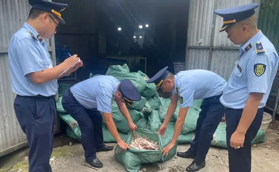 Phát hiện kho lạnh chứa gần 8 tấn chân gà không rõ nguồn gốc