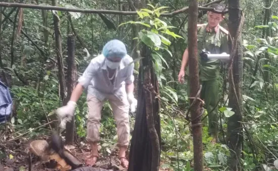 Phát hiện bộ hài cốt trong rừng nghi là đối tượng truy nã