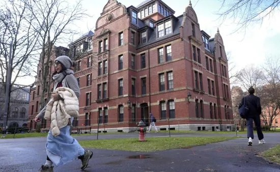 Tổng thống Mỹ cân nhắc chuyển tài trợ cho Harvard sang trường dạy nghề