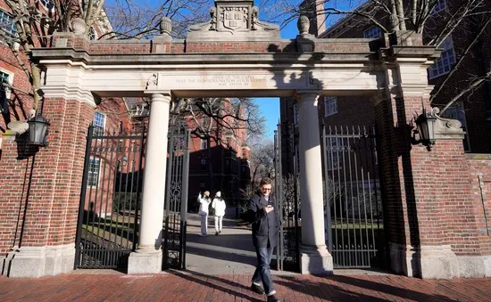 Nhiều trường đại học mời sinh viên Harvard chuyển hồ sơ