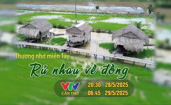 'Rủ nhau về đồng': Trải nghiệm làm nông dân ở Đồng Tháp