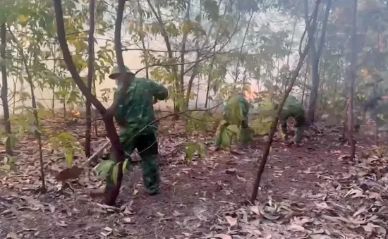 Bộ đội Biên phòng TP Huế huy động lực lượng phối hợp chữa cháy rừng