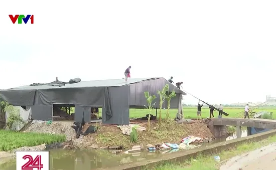 Vĩnh Phúc: Làm rõ trách nhiệm vụ ồ ạt xây dựng trên đất nông nghiệp